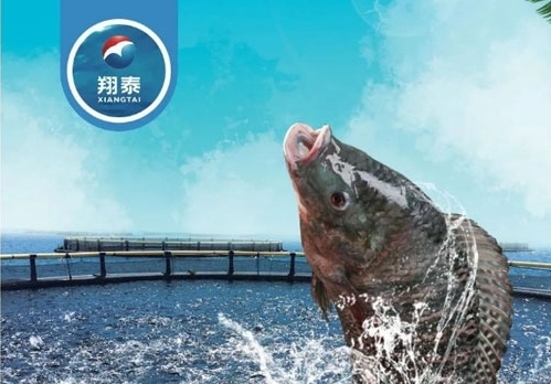 翔泰漁業(yè)深耕【海南鯛】近二十年，堅持高品質(zhì)水產(chǎn)品穩(wěn)定供應(yīng)，不斷創(chuàng)新研發(fā)產(chǎn)品以滿足不同市場需求！
