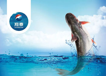 繼金鯧魚、海南鯛之后！翔泰漁業(yè)全力打造第三條精品魚【海南巴沙魚】